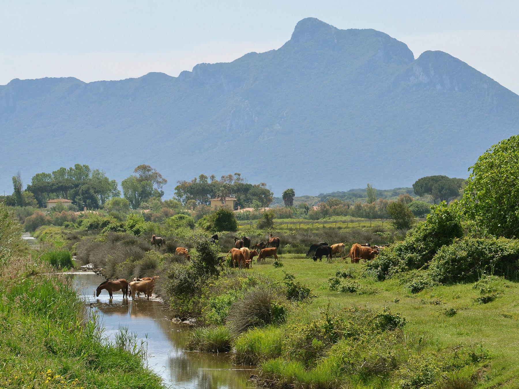 Parco Nazionale del Circeo